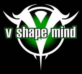 logo V Shape Mind